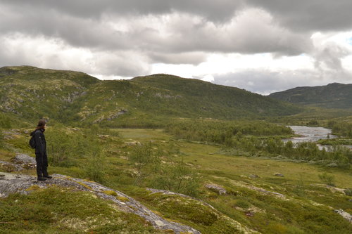 taken on Hardangervidda, near Hjolmø