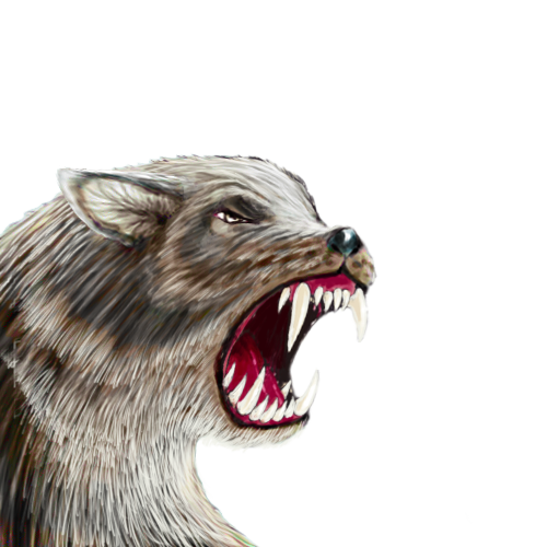 dire-wolf-smaller.png