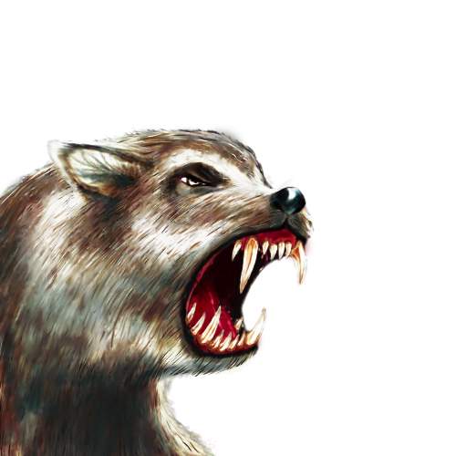 dire-wolf-smallerB.png