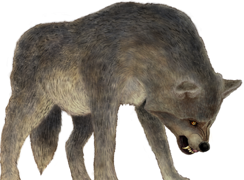 wolfsmaller.png