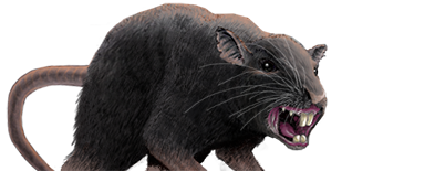 giant_ratC2.png