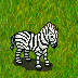 zebra_0.3.png