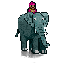 An elephant with a guy on the top of it