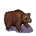 brown bear new.png